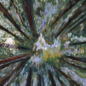 Trees and Stars - 2025