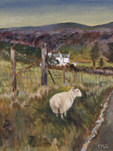 The Wee Sheep - 2025