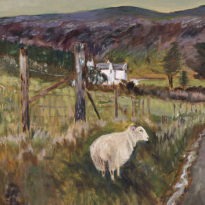 The Wee Sheep - 2025